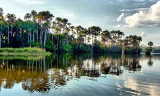lago-sandoval-min lago-sandoval-min